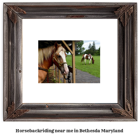 horseback riding near me in Bethesda, Maryland